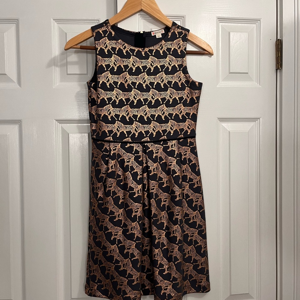 Kids JCrew Dress